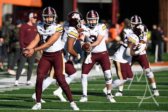 COLLEGE FOOTBALL: NOV 02 Minnesota at Illinois