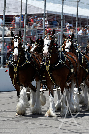 AUTO: JUN 05 NASCAR Cup Series Enjoy Illinois 300 Presented by TicketSmarter