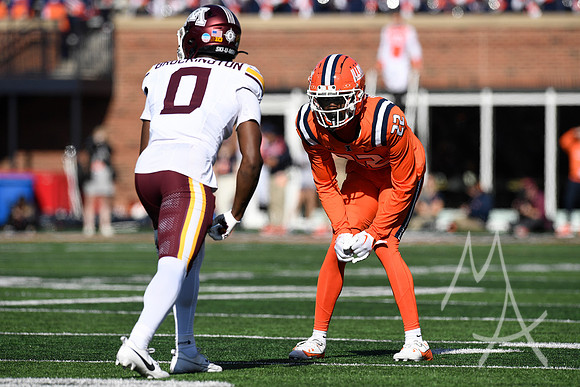 COLLEGE FOOTBALL: NOV 02 Minnesota at Illinois