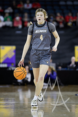 COLLEGE BASKETBALL: MAR 08 Women’s Ohio Valley Championship Tennessee Tech vs Lindenwood