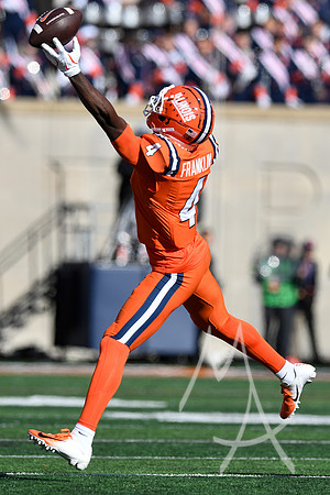COLLEGE FOOTBALL: NOV 02 Minnesota at Illinois