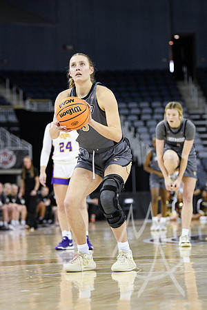 COLLEGE BASKETBALL: MAR 08 WomenÕs Ohio Valley Championship Tennessee Tech vs Lindenwood