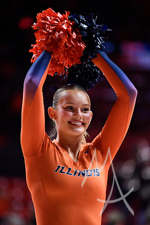 COLLEGE BASKETBALL: JAN 08 Penn State at Illinois