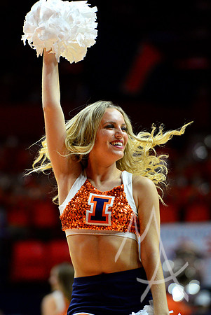 NCAA BASKETBALL: NOV 29 NC State at Illinois