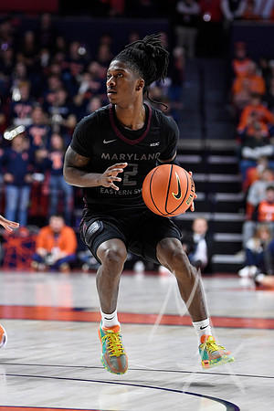 COLLEGE BASKETBALL: NOV 23 Maryland Eastern Shore at Illinois