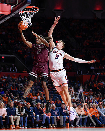 COLLEGE BASKETBALL: NOV 25 Arkansas Little Rock at Illinois