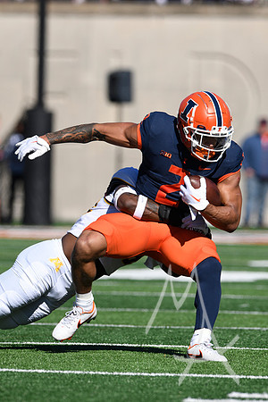 COLLEGE FOOTBALL: OCT 15 Minnesota at Illinois