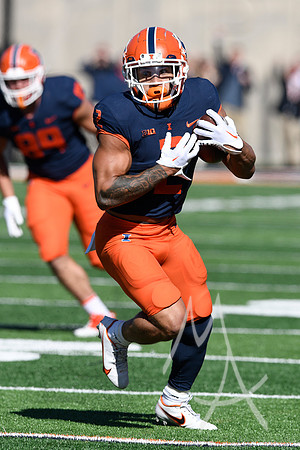 COLLEGE FOOTBALL: OCT 15 Minnesota at Illinois