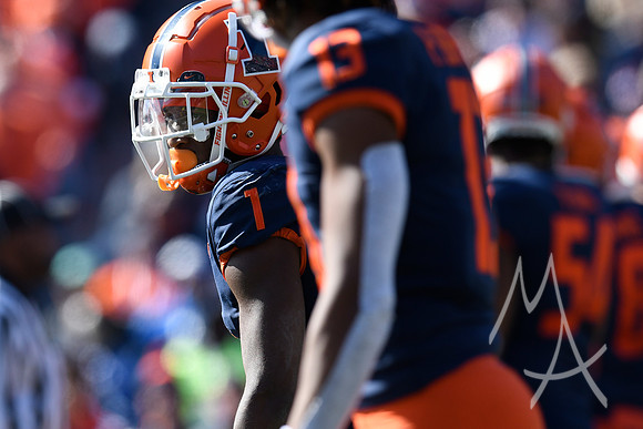 COLLEGE FOOTBALL: OCT 15 Minnesota at Illinois