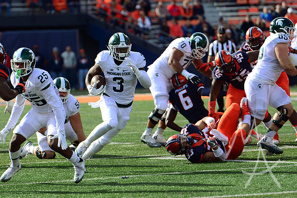 NCAA FOOTBALL: NOV 05 Michigan State at Illinois
