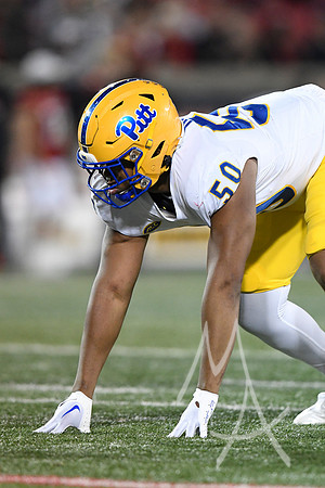 COLLEGE FOOTBALL: OCT 22 Pitt at Louisville