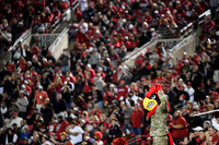 COLLEGE FOOTBALL: NOV 08 Cal at Louisville