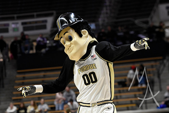 COLLEGE BASKETBALL: NOV 13 Women's Murray State at Purdue