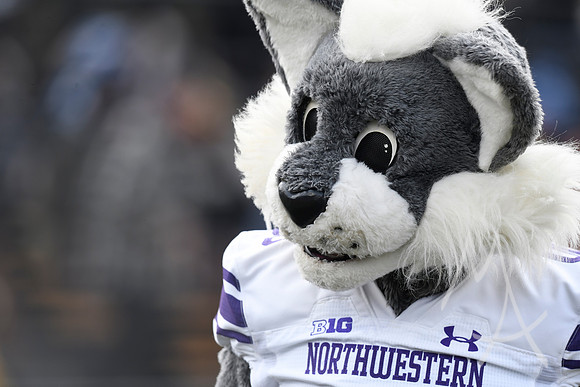 COLLEGE FOOTBALL: NOV 19 Northwestern at Purdue