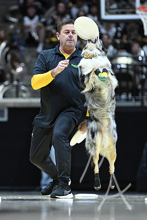 COLLEGE BASKETBALL: JAN 11 Women's Washington at Purdue