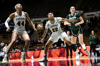 COLLEGE BASKETBALL: JAN 29 Women's Michigan State at Purdue