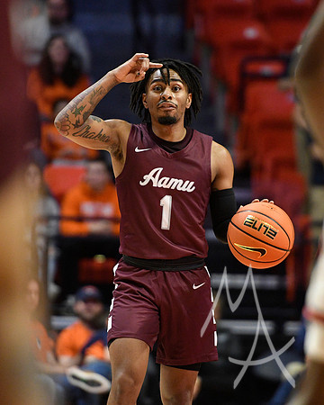 Alabama A M Illinois Basketball