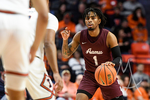 Alabama A M Illinois Basketball