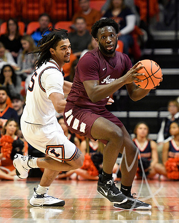 Alabama A M Illinois Basketball