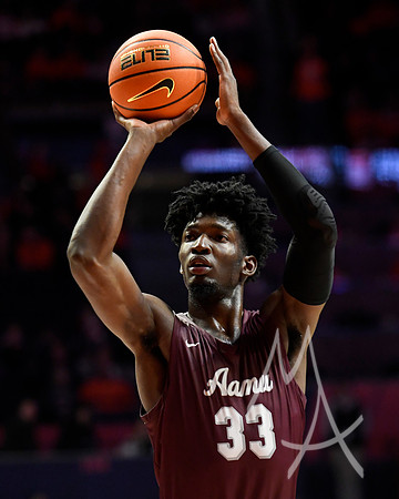 Alabama A M Illinois Basketball