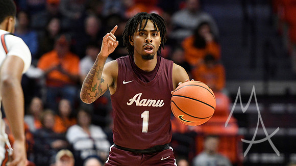 Alabama A M Illinois Basketball