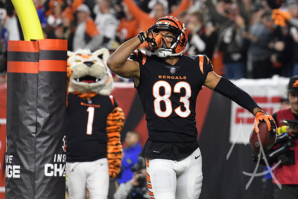 NFL: JAN 02 Bills at Bengals