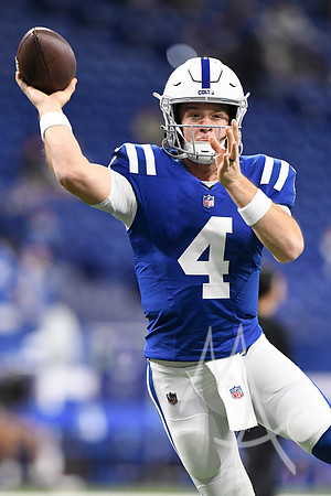 NFL: JAN 08 Texans at Colts