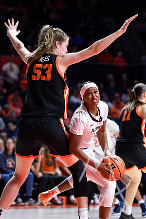 COLLEGE BASKETBALL: NOV 22 Women's - Oregon State at Illinois