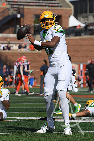 COLLEGE FOOTBALL: OCT 24 Oregon at Illinois