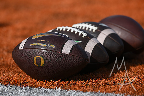 COLLEGE FOOTBALL: OCT 24 Oregon at Illinois