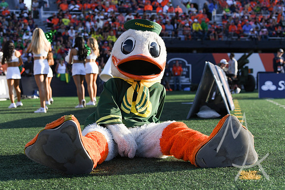 COLLEGE FOOTBALL: OCT 24 Oregon at Illinois