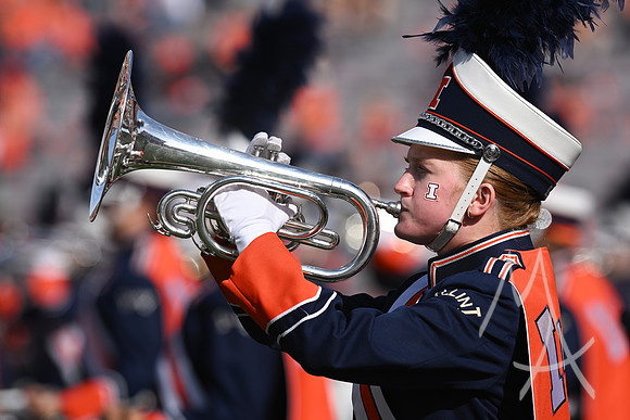 COLLEGE FOOTBALL: OCT 24 Oregon at Illinois