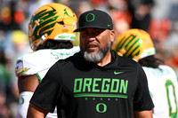 COLLEGE FOOTBALL: OCT 24 Oregon at Illinois