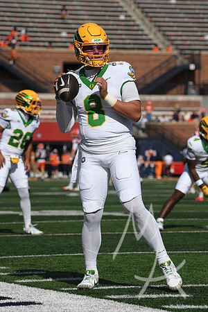 COLLEGE FOOTBALL: OCT 24 Oregon at Illinois