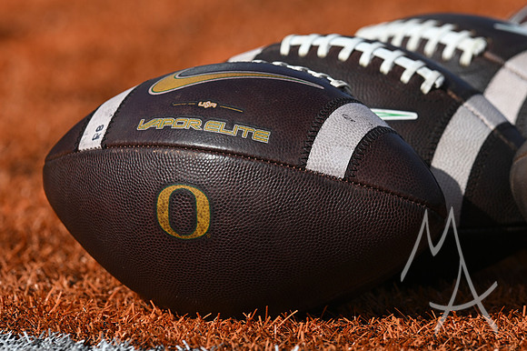 COLLEGE FOOTBALL: OCT 24 Oregon at Illinois