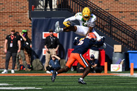 COLLEGE FOOTBALL: OCT 24 Oregon at Illinois