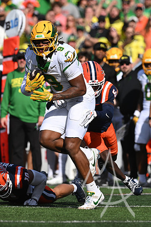 COLLEGE FOOTBALL: OCT 24 Oregon at Illinois