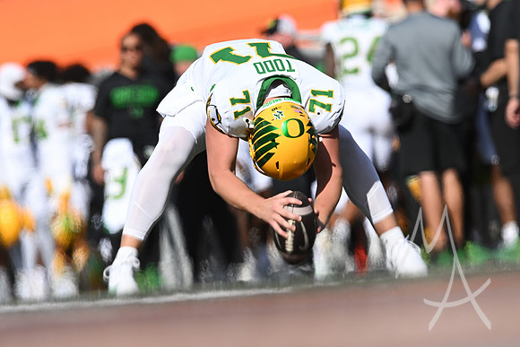 COLLEGE FOOTBALL: OCT 24 Oregon at Illinois