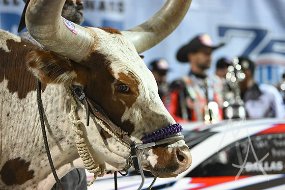 AUTO: OCT 18 Texas NHRA Fall Nationals
