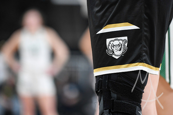 COLLEGE BASKETBALL: MAR 11 Women's Horizon League Championship Green Bay vs Fort Wayne