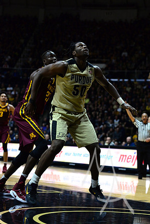 NCAA BASKETBALL: JAN 01 Minnesota at Purdue