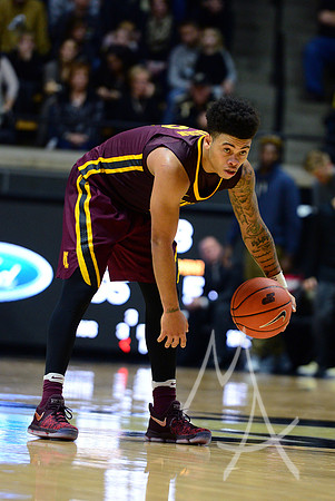 NCAA BASKETBALL: JAN 01 Minnesota at Purdue