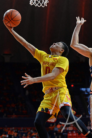 NCAA BASKETBALL: JAN 14 Maryland at Illinois