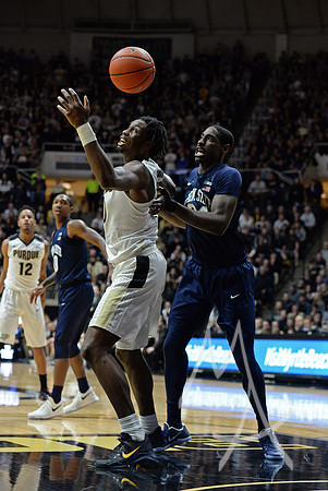 NCAA BASKETBALL: JAN 21 Penn State at Purdue