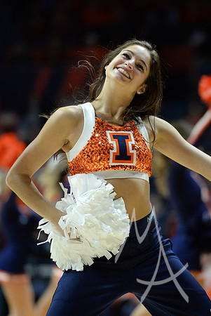 COLLEGE BASKETBALL: FEB 04 Minnesota at Illinois