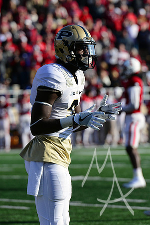NCAA FOOTBALL: NOV 26 Purdue at Indiana