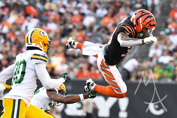 NFL: AUG 11 Preseason - Packers at Bengals