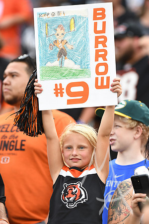 NFL: AUG 11 Preseason - Packers at Bengals