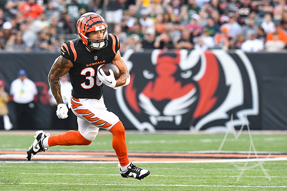 NFL: AUG 11 Preseason - Packers at Bengals
