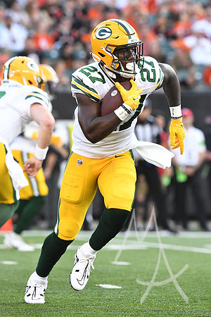 NFL: AUG 11 Preseason - Packers at Bengals